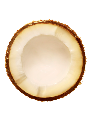 Ingredient-COCO_OIL-373x488